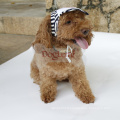 Sailor Fashion Dog Pet Dog Cat Cotton Hat Sports Baseball Stripe Cap with Ear Holes